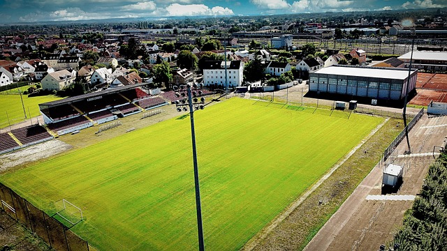 年轻的卡姆 年轻的卡姆