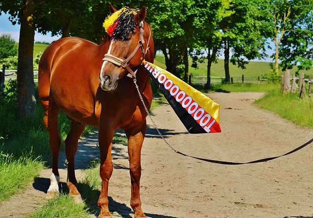 现为快船的 现为快船的