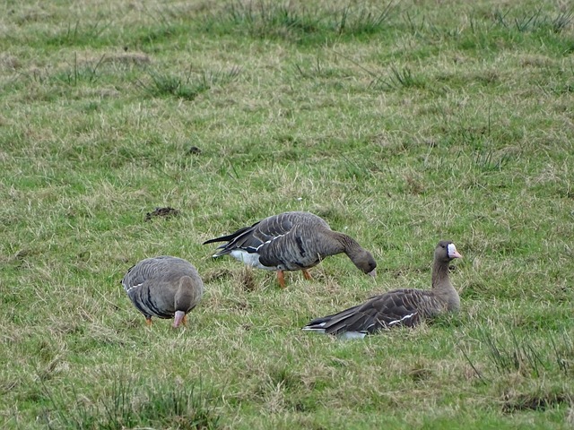 为每一位健 为每一位健