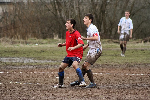 新加坡经验 新加坡经验