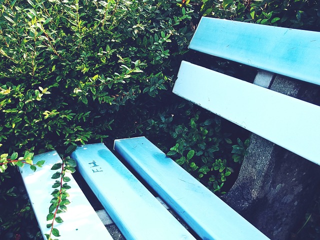 中脱颖而出 中脱颖而出